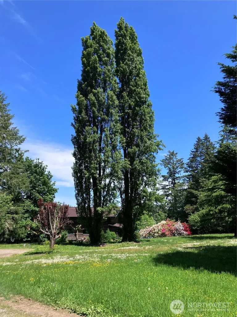 4293 E Pickering Road Shelton WA 98584
