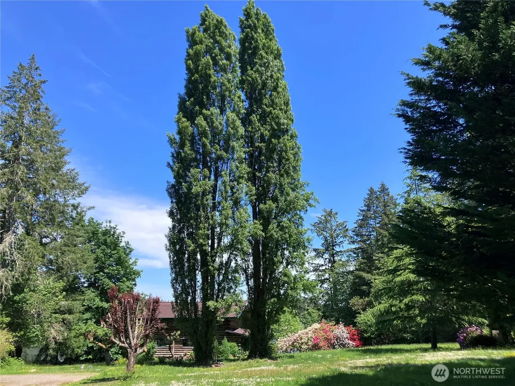 4293 E Pickering Road Shelton WA 98584
