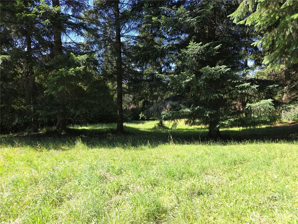 2024 Lorraine Drive SE Tenino WA 98501