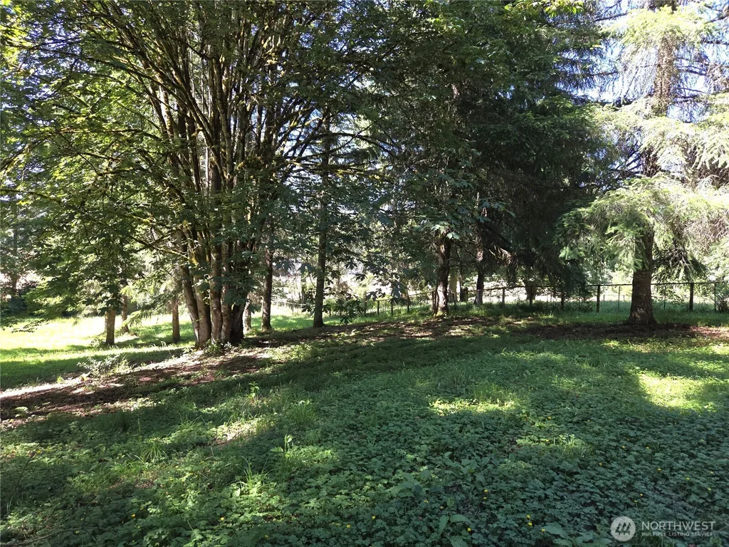 2024 Lorraine Drive SE Tenino WA 98501