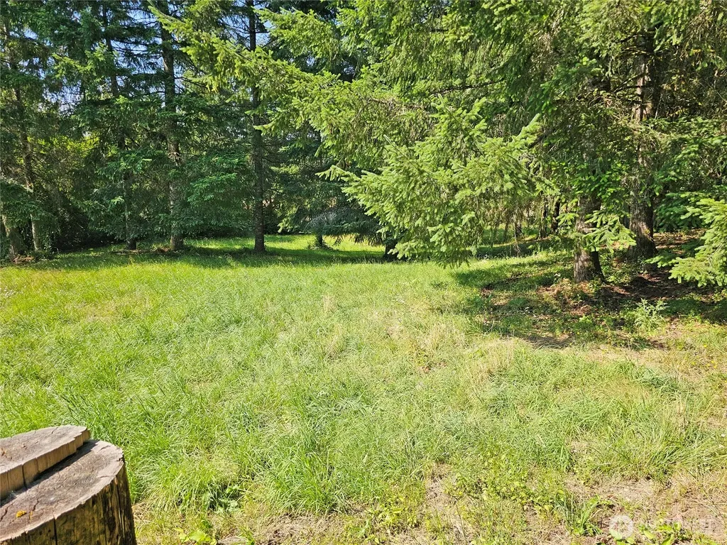 2024 Lorraine Drive SE Olympia WA 98501