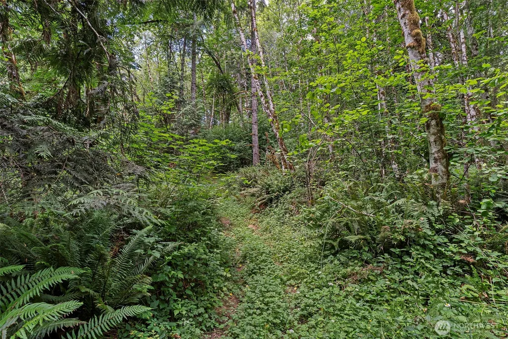 127 Brookside Lane Chehalis WA 98532