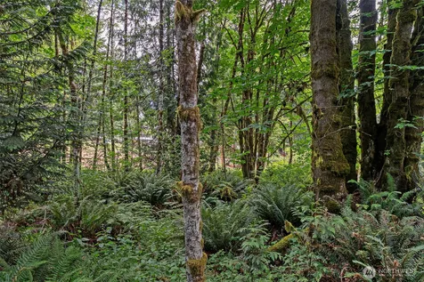 127 Brookside Lane Chehalis WA 98532