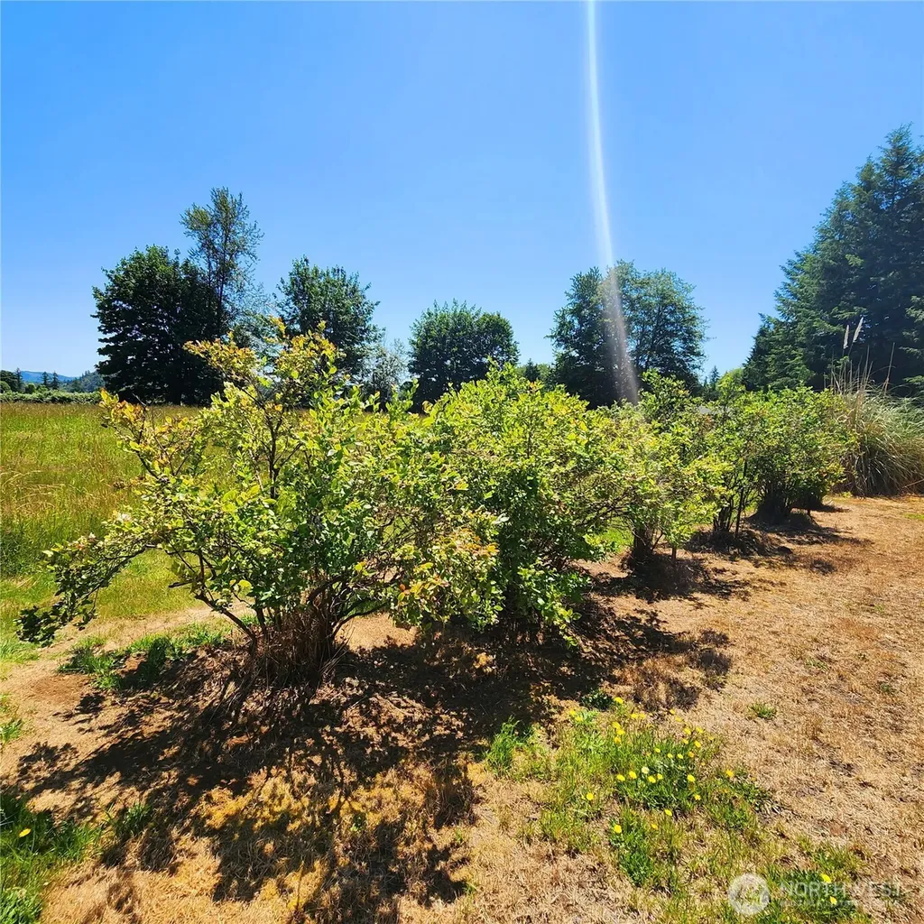 144 Ciannigan Hill Road Silver Creek WA 98585
