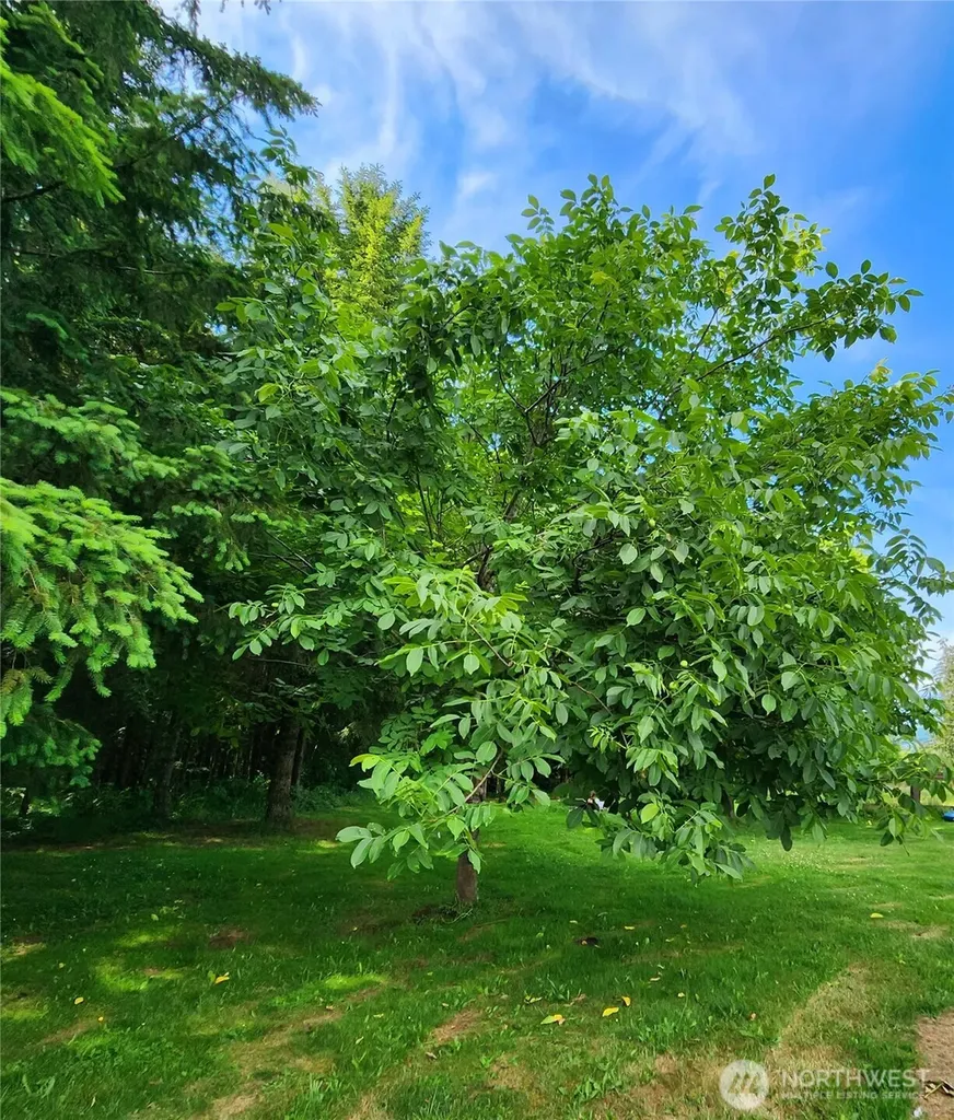 144 Ciannigan Hill Road Silver Creek WA 98585