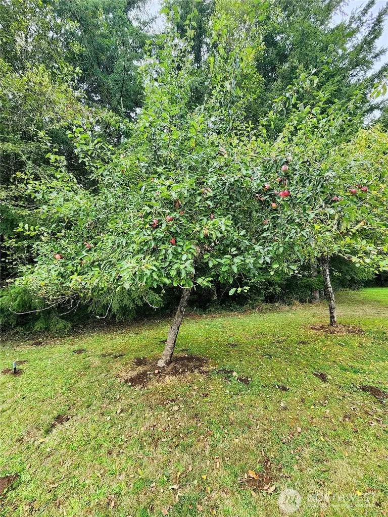 144 Ciannigan Hill Road Silver Creek WA 98585