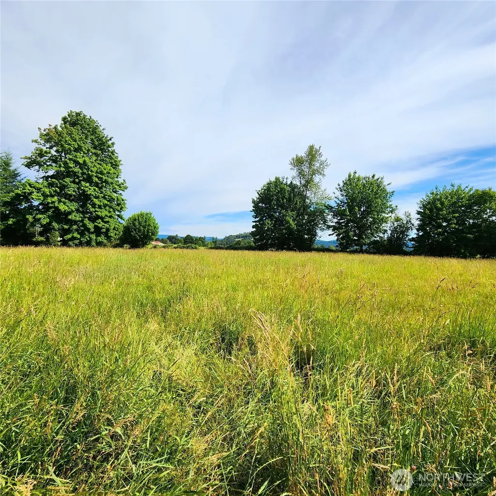 144 Ciannigan Hill Road Silver Creek WA 98585