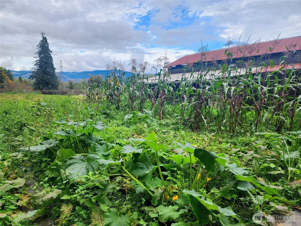 144 Ciannigan Hill Road Silver Creek WA 98585