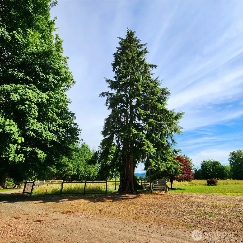 144 Ciannigan Hill Road Silver Creek WA 98585