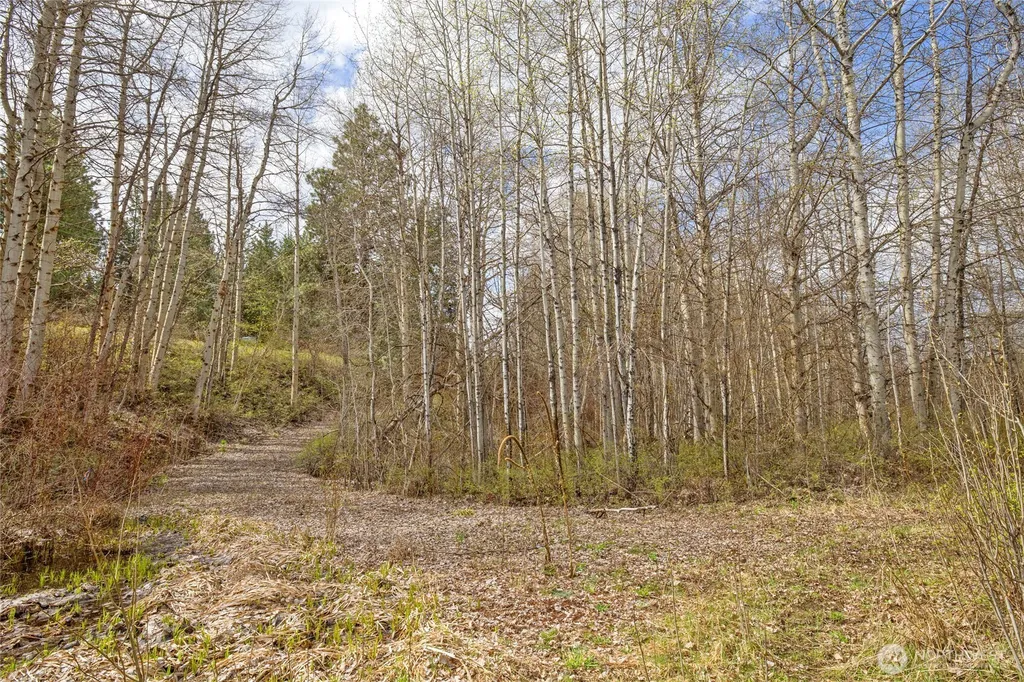 0 Westside Road Cle Elum WA 98922