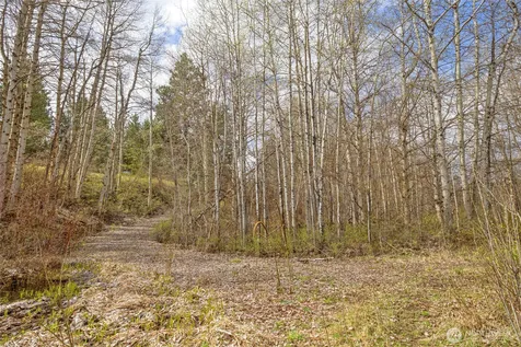 0 Westside Rd Pcl -10579 & 10580 Cle Elum WA 98922