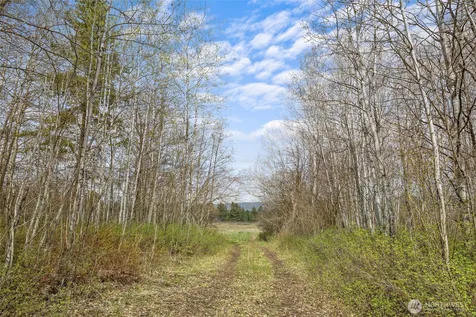 0 Westside Rd Pcl -10579 & 10580 Cle Elum WA 98922