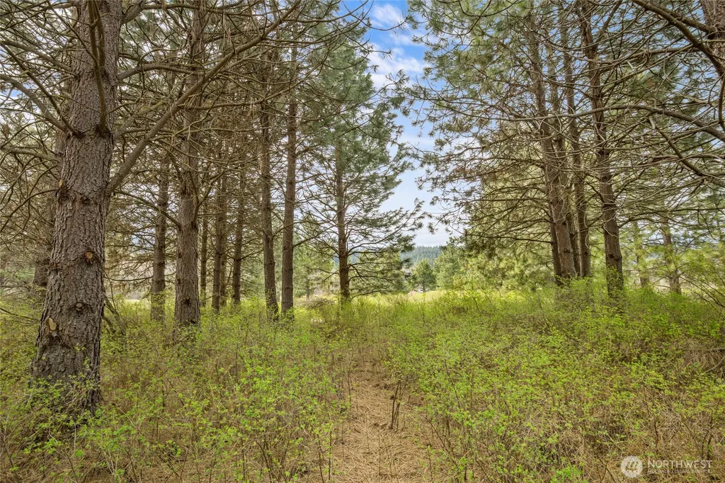 0 Westside Road Lot Cle Elum WA 98922