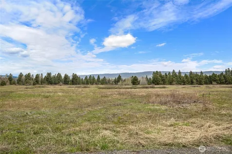 0 Westside Rd - Parcel 10577 Cle Elum WA 98922