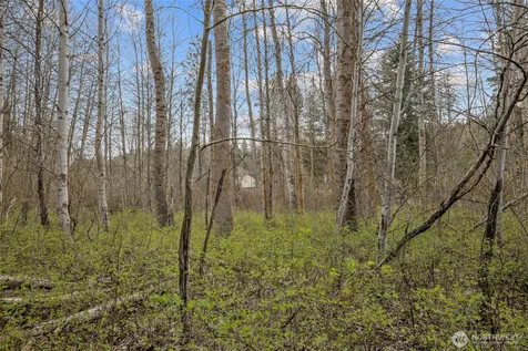 0 Westside Rd - Parcel 10577 Cle Elum WA 98922