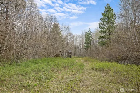 0 Westside Rd - Parcel 10577 Cle Elum WA 98922