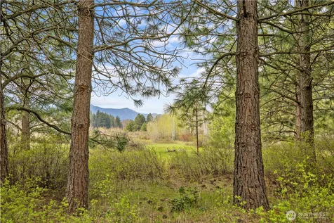 0 Westside Rd - Parcel 10577 Cle Elum WA 98922