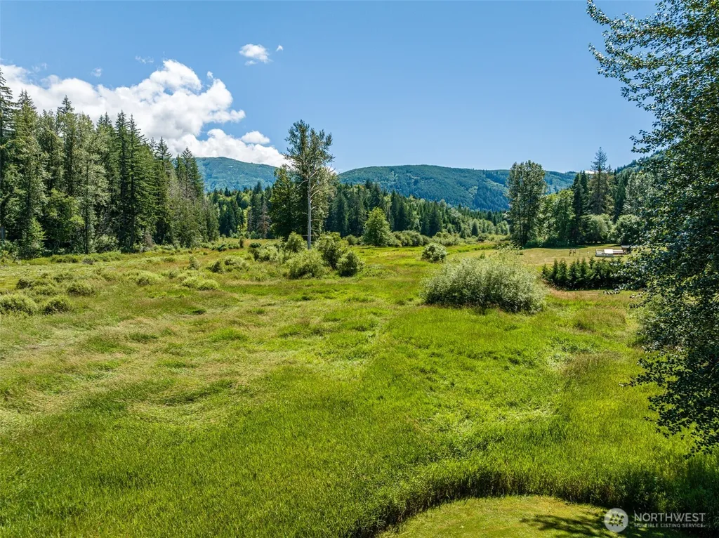 3124 Mosquito Lake Road Deming WA 98244