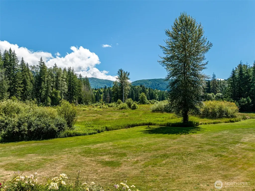 3124 Mosquito Lake Road Deming WA 98244