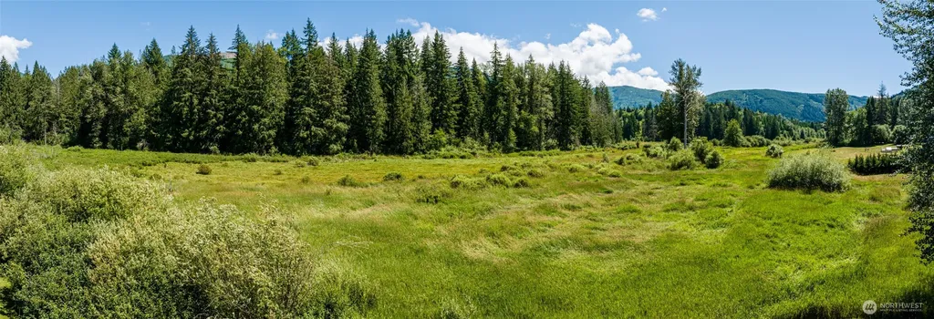 3124 Mosquito Lake Road Deming WA 98244