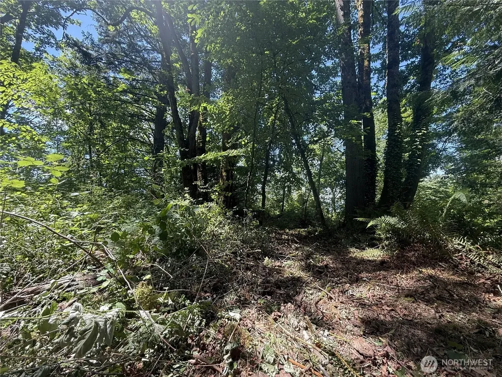 5 229th Avenue SE Issaquah WA 98027