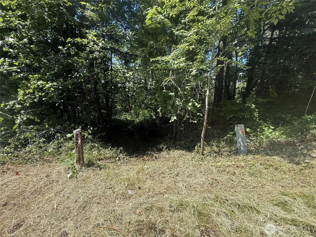 5 229th Avenue SE Issaquah WA 98027