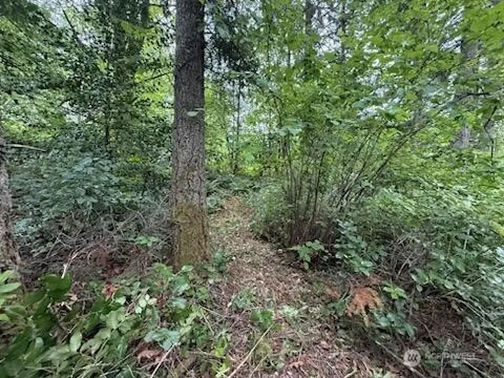 5 229th Avenue SE Issaquah WA 98027