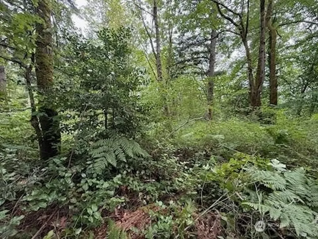 5 229th Avenue SE Issaquah WA 98027