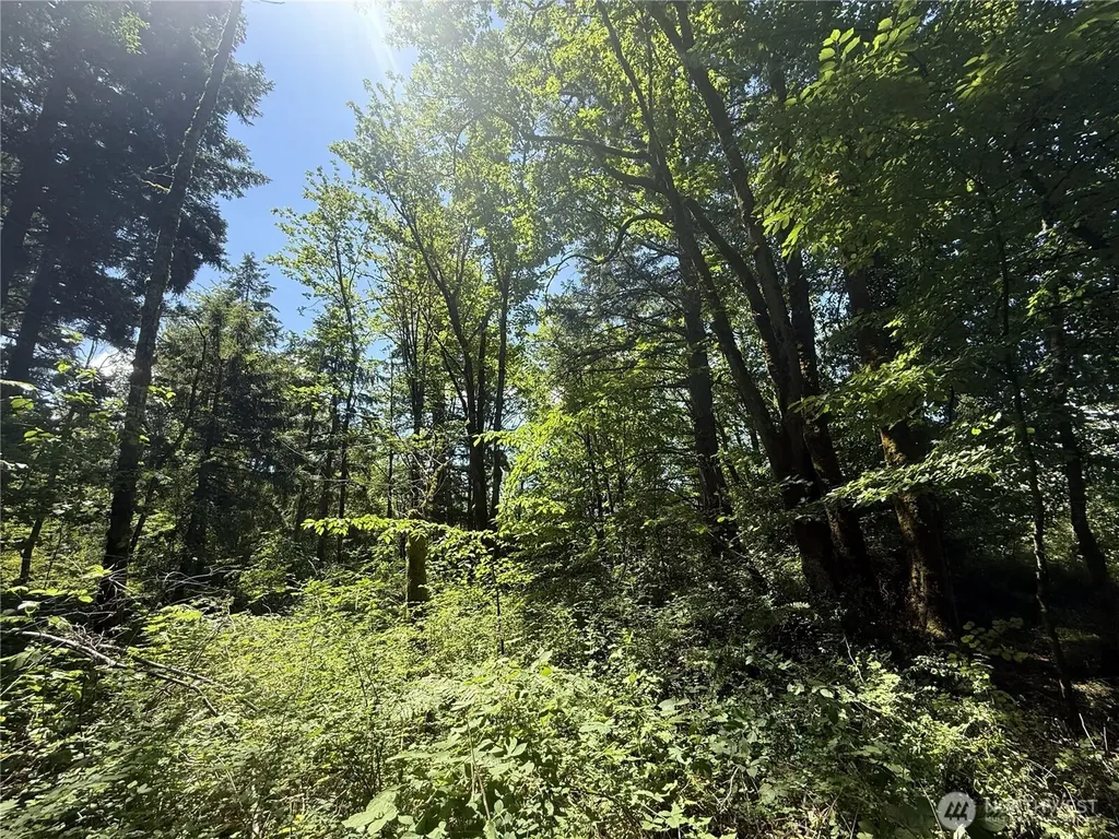 5 229th Avenue SE Issaquah WA 98027