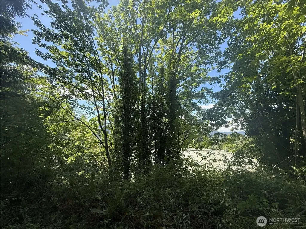5 229th Avenue SE Issaquah WA 98027