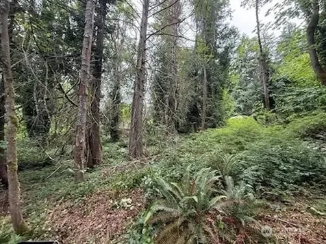 5 229th Avenue SE Issaquah WA 98027