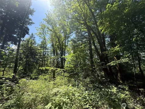 5 229th Avenue SE Issaquah WA 98027