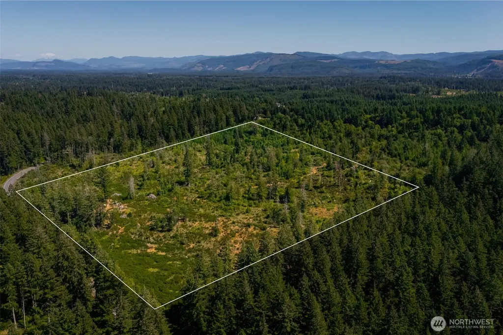 0 Algyer Road SE Rainier WA 98576