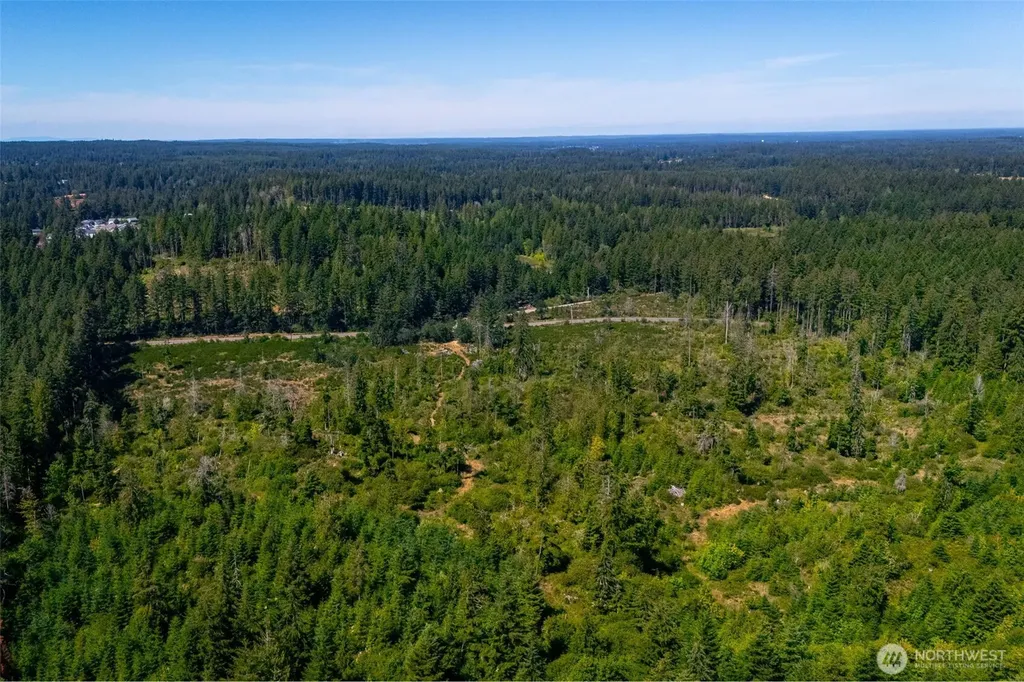 0 Algyer Road SE Rainier WA 98576