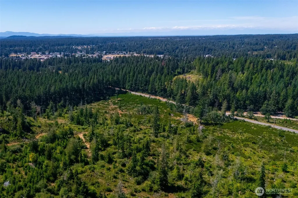 0 Algyer Road SE Rainier WA 98576