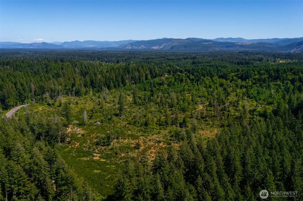 0 Algyer Road SE Rainier WA 98576