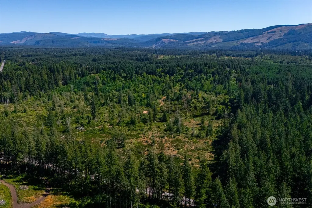 0 Algyer Road SE Rainier WA 98576