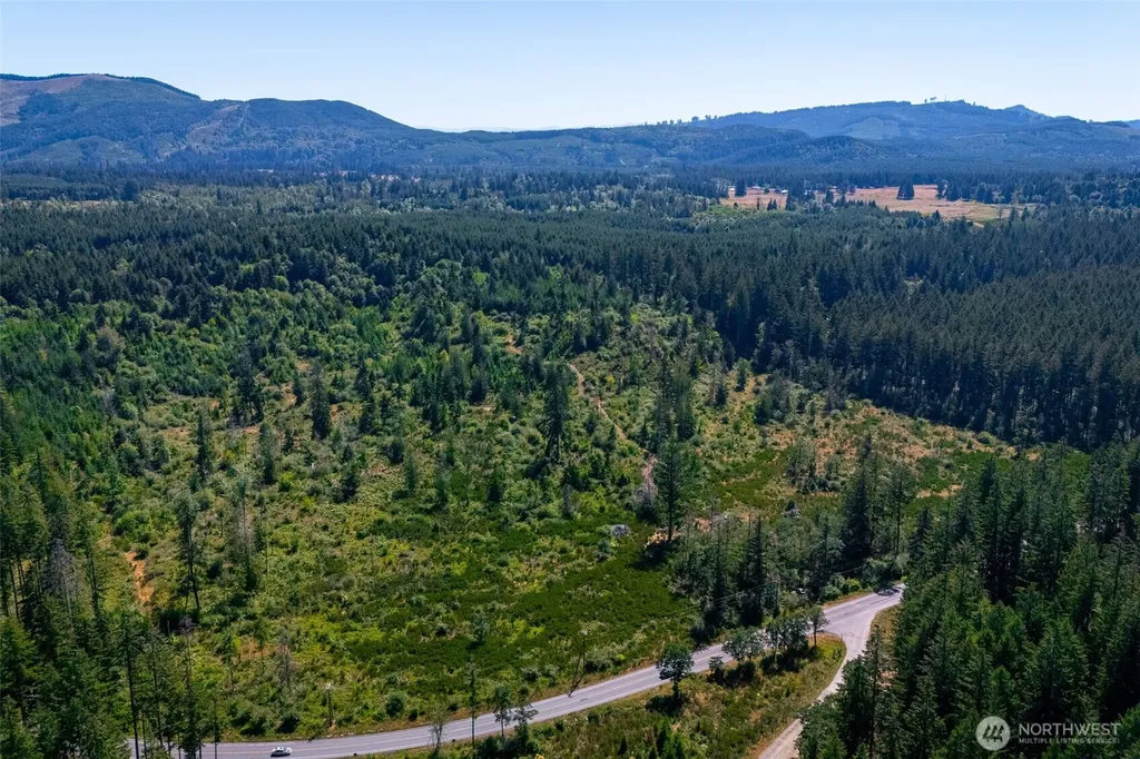 0 Algyer Road SE Rainier WA 98576
