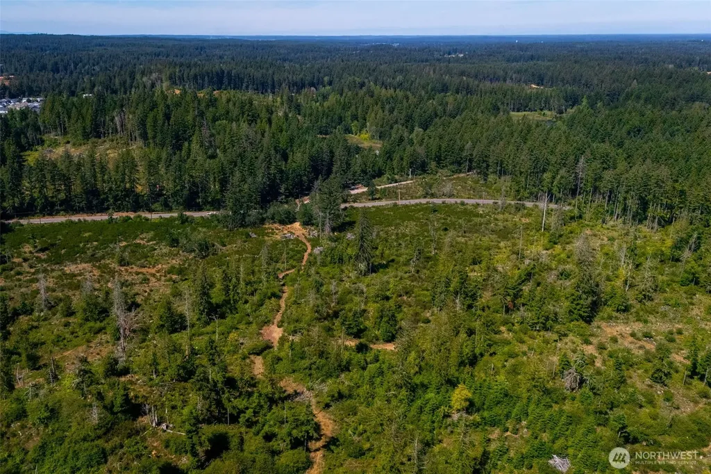 0 Algyer Road SE Rainier WA 98576