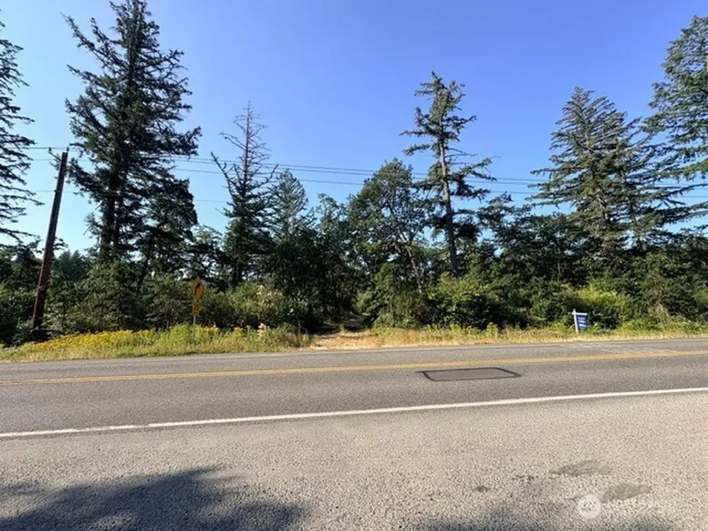 0 Algyer Road SE Rainier WA 98576