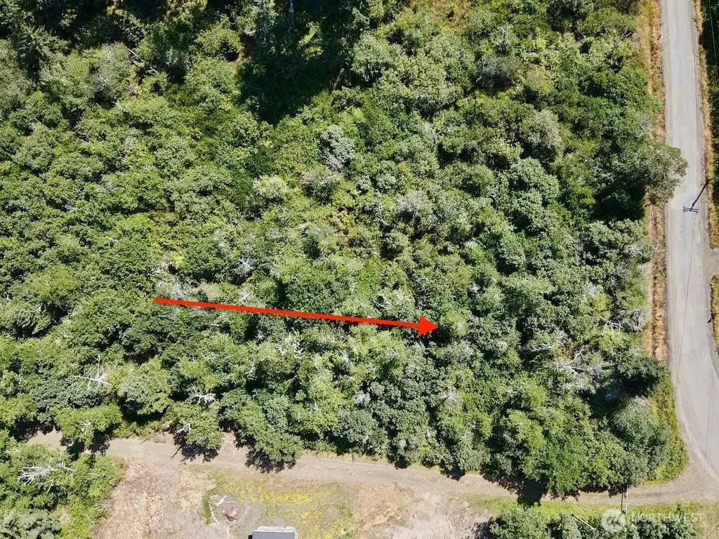 1 Larkin Grayland WA 98547