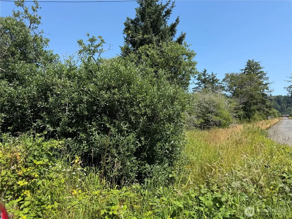 1 Larkin Grayland WA 98547