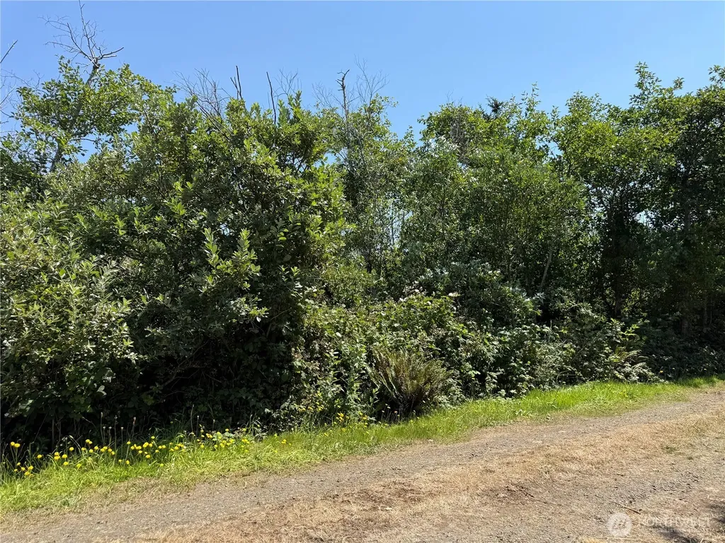 1 Larkin Grayland WA 98547
