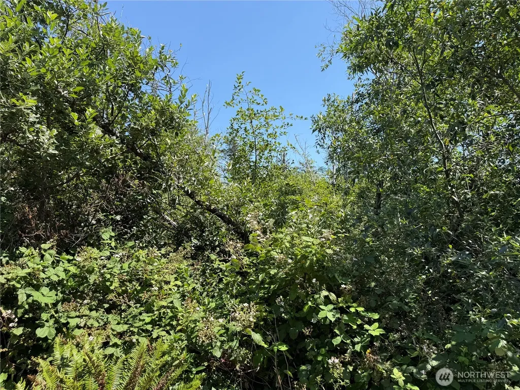 1 Larkin Grayland WA 98547