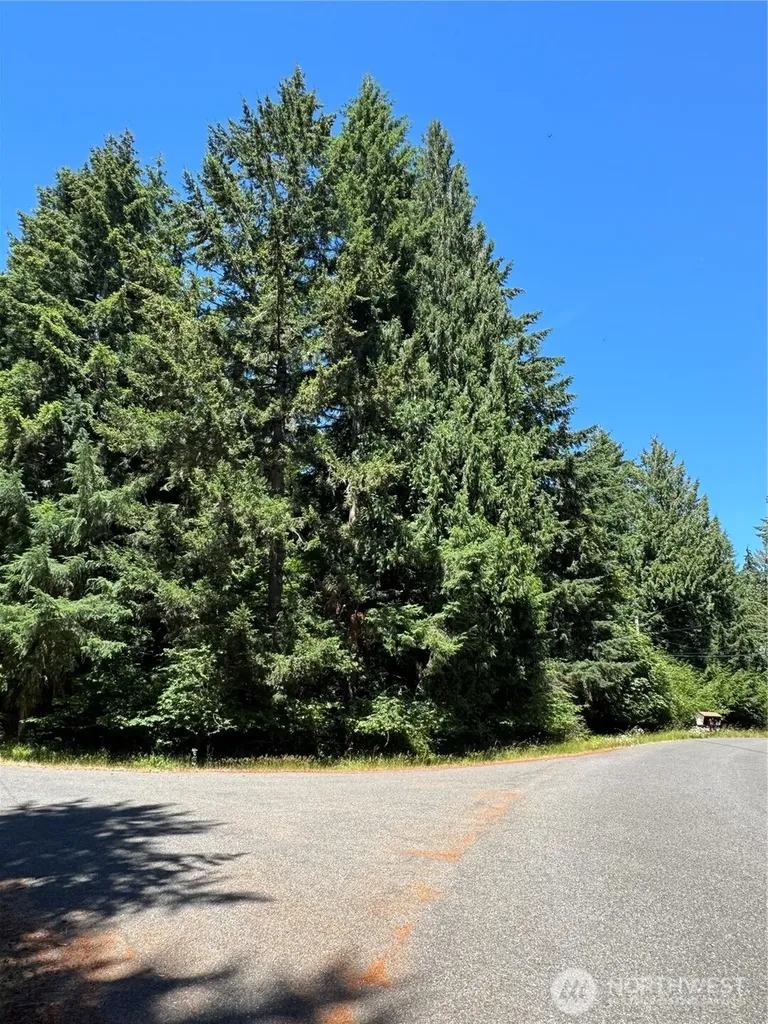 10409 108th Street Anderson Island WA 98303