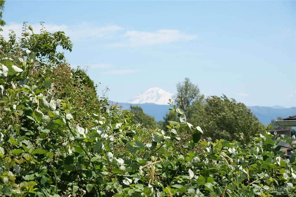 725 Judson Street Lynden WA 98264