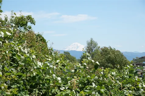 725 Judson Street Lynden WA 98264