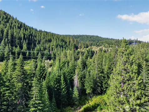 0 W Nason Creek Leavenworth WA 98826
