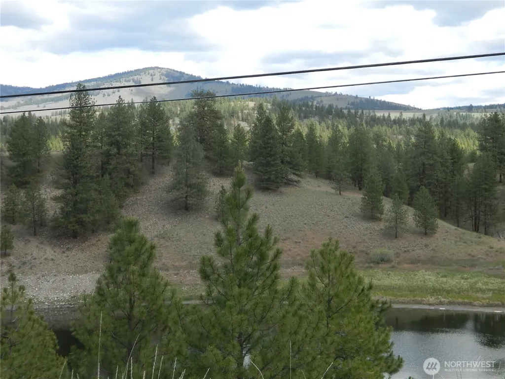 439 Aeneas Valley Road Tonasket WA 98855