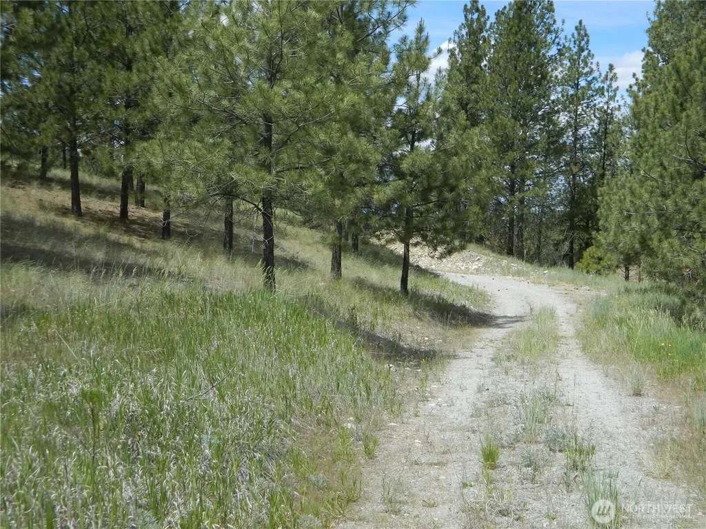 439 Aeneas Valley Road Tonasket WA 98855